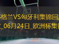 06月24日歐洲杯小組賽A組第3輪蘇格蘭vs匈牙利精彩片段