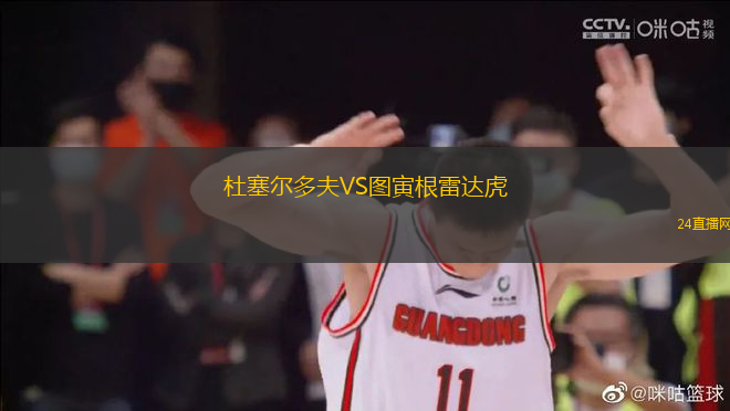 杜塞爾多夫VS圖寅根雷達虎
