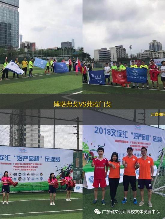 博塔弗戈VS弗拉門戈